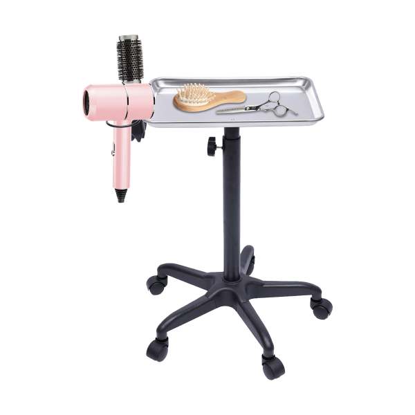 Carrello da Parrucchiere, Carrello Mobile Professionale per Parrucchiere, Altezza Regolabile in Alluminio per Saloni di Parrucchieri, Spa, argento