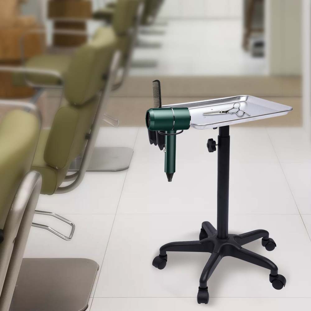 Carrello da Parrucchiere, Carrello Mobile Professionale per Parrucchiere, Altezza Regolabile in Alluminio per Saloni di Parrucchieri, Spa, argento