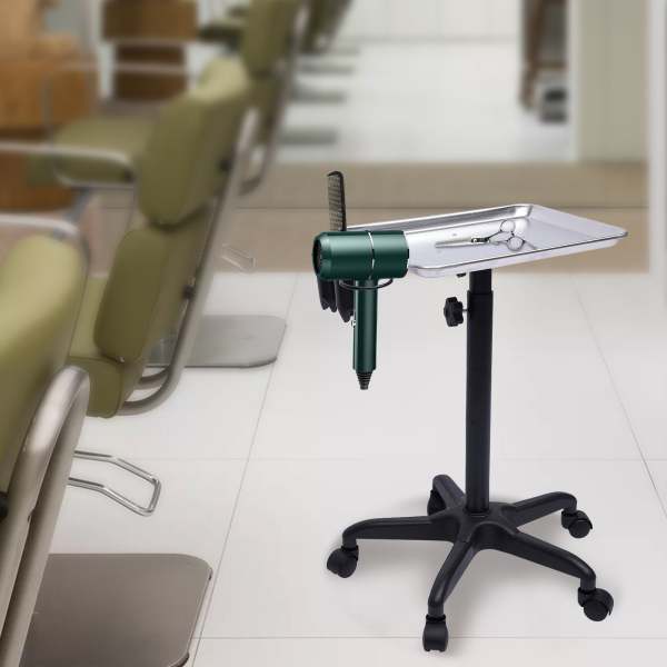 Carrello da Parrucchiere, Carrello Mobile Professionale per Parrucchiere, Altezza Regolabile in Alluminio per Saloni di Parrucchieri, Spa, argento