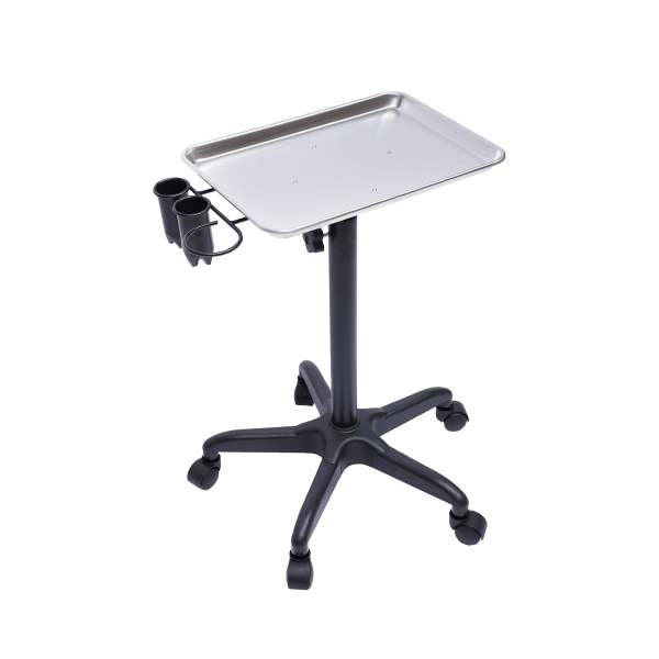 Carrello da Parrucchiere, Carrello Mobile Professionale per Parrucchiere, Altezza Regolabile in Alluminio per Saloni di Parrucchieri, Spa, argento